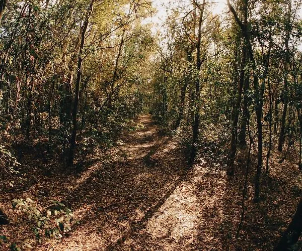 Masseria Lilei Lizzanello