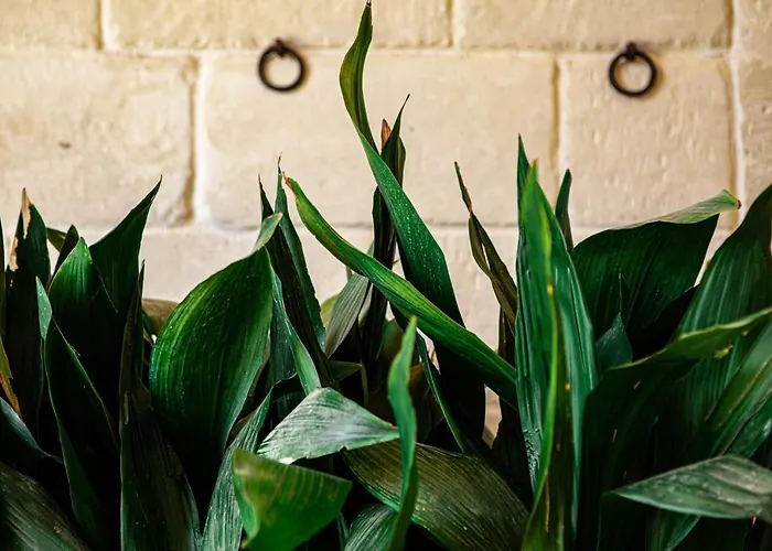 Resort Masseria Lilei *