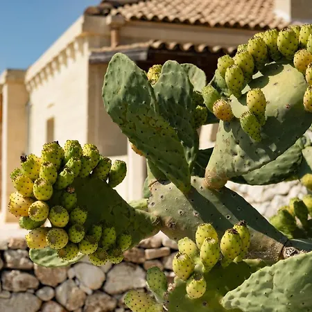 Resort Masseria Lilei *