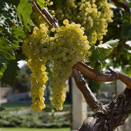 Masseria Lilei - Puglia, Salento * Lizzanello